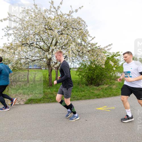 07.04.2024 - 43. Internationalen Wilhelmsburger Insellauf Michael Strokosch http://msf.ph/oto/6043591 07.04.2024 10:54:36 Laufen 3077 meine-sportfotos.de