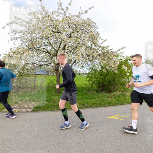07.04.2024 - 43. Internationalen Wilhelmsburger Insellauf Michael Strokosch http://msf.ph/oto/6043595 07.04.2024 10:54:37 Laufen 3077 meine-sportfotos.de