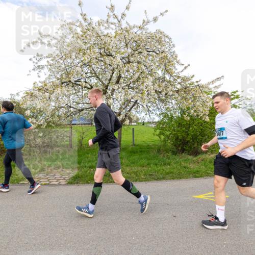 07.04.2024 - 43. Internationalen Wilhelmsburger Insellauf Michael Strokosch http://msf.ph/oto/6043601 07.04.2024 10:54:37 Laufen 3077, 3145 meine-sportfotos.de