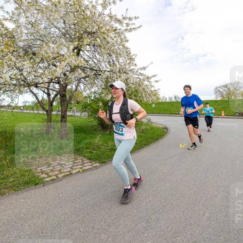 07.04.2024 - 43. Internationalen Wilhelmsburger Insellauf Michael Strokosch http://msf.ph/oto/6043646 07.04.2024 10:54:48 Laufen 3023 meine-sportfotos.de