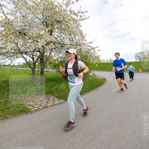 07.04.2024 - 43. Internationalen Wilhelmsburger Insellauf Michael Strokosch http://msf.ph/oto/6043650 07.04.2024 10:54:48 Laufen 3023, 3014 meine-sportfotos.de