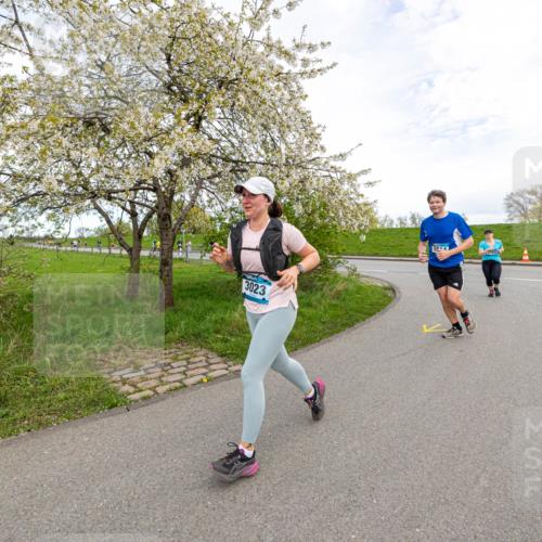 07.04.2024 - 43. Internationalen Wilhelmsburger Insellauf Michael Strokosch http://msf.ph/oto/6043653 07.04.2024 10:54:48 Laufen 3023, 3044 meine-sportfotos.de