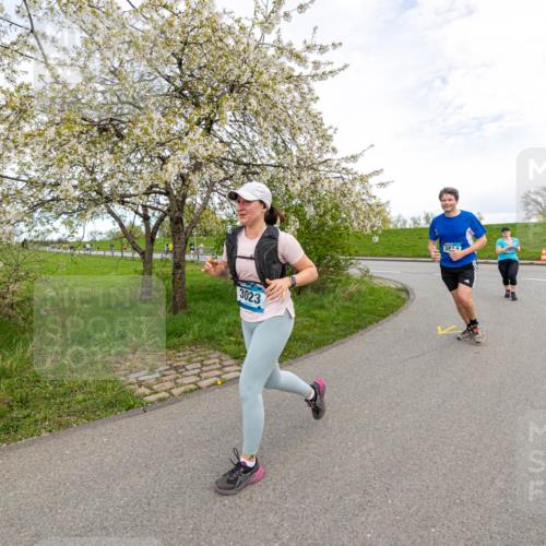 07.04.2024 - 43. Internationalen Wilhelmsburger Insellauf Michael Strokosch http://msf.ph/oto/6043656 07.04.2024 10:54:49 Laufen 3023, 3814 meine-sportfotos.de