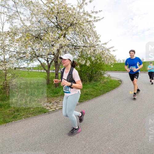 07.04.2024 - 43. Internationalen Wilhelmsburger Insellauf Michael Strokosch http://msf.ph/oto/6043664 07.04.2024 10:54:49 Laufen 3023, 3814 meine-sportfotos.de