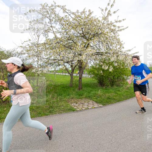 07.04.2024 - 43. Internationalen Wilhelmsburger Insellauf Michael Strokosch http://msf.ph/oto/6043704 07.04.2024 10:54:49 Laufen 3763, 3814 meine-sportfotos.de