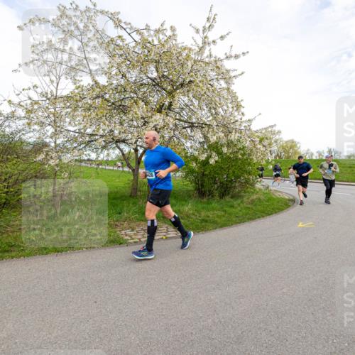 07.04.2024 - 43. Internationalen Wilhelmsburger Insellauf Michael Strokosch http://msf.ph/oto/6043714 07.04.2024 10:54:56 Laufen 4426 meine-sportfotos.de