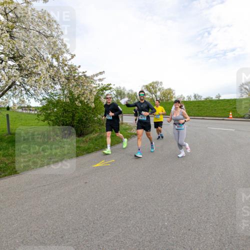 07.04.2024 - 43. Internationalen Wilhelmsburger Insellauf Michael Strokosch http://msf.ph/oto/6043757 07.04.2024 10:55:00 Laufen 3677, 2031, 3683 meine-sportfotos.de