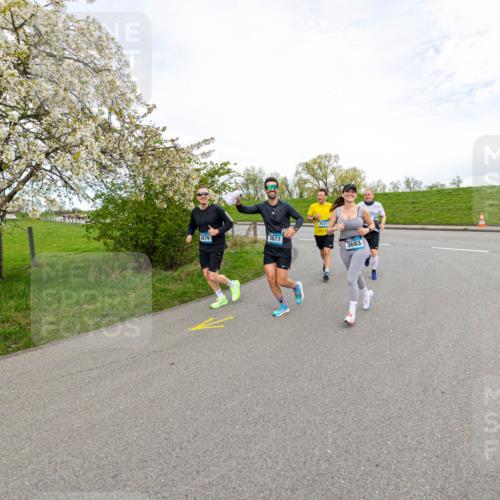 07.04.2024 - 43. Internationalen Wilhelmsburger Insellauf Michael Strokosch http://msf.ph/oto/6043768 07.04.2024 10:55:01 Laufen 2031, 3676, 3677, 3683 meine-sportfotos.de