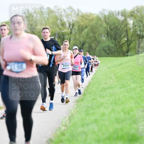07.04.2024 - 43. Internationalen Wilhelmsburger Insellauf Dr. Thomas Lammeyer http://msf.ph/oto/6049631 07.04.2024 11:15:27 Laufen 2460, 3307 meine-sportfotos.de