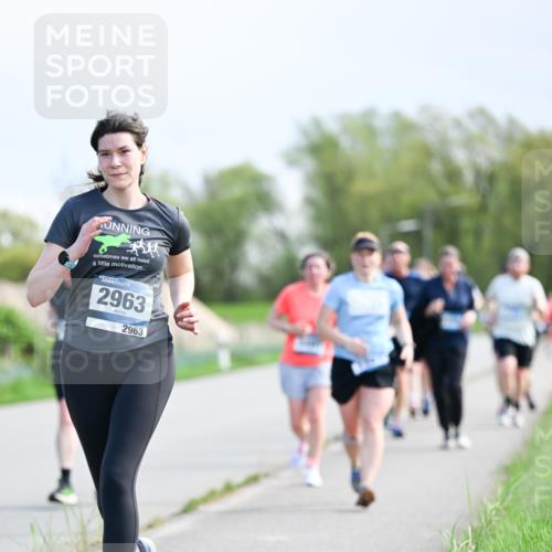 07.04.2024 - 43. Internationalen Wilhelmsburger Insellauf Dr. Thomas Lammeyer http://msf.ph/oto/6049929 07.04.2024 11:16:22 Laufen 2963, 2963 meine-sportfotos.de