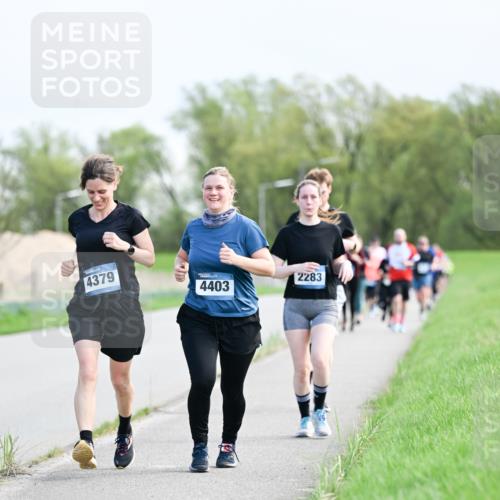 07.04.2024 - 43. Internationalen Wilhelmsburger Insellauf Dr. Thomas Lammeyer http://msf.ph/oto/6050157 07.04.2024 11:17:10 Laufen 4379, 2283, 4403 meine-sportfotos.de