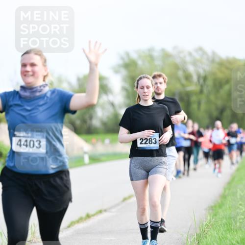 07.04.2024 - 43. Internationalen Wilhelmsburger Insellauf Dr. Thomas Lammeyer http://msf.ph/oto/6050166 07.04.2024 11:17:12 Laufen 2283, 4403 meine-sportfotos.de