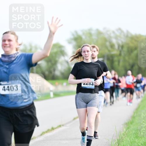 07.04.2024 - 43. Internationalen Wilhelmsburger Insellauf Dr. Thomas Lammeyer http://msf.ph/oto/6050168 07.04.2024 11:17:12 Laufen 2283, 4403 meine-sportfotos.de