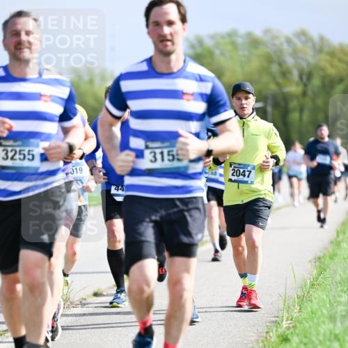 07.04.2024 - 43. Internationalen Wilhelmsburger Insellauf Dr. Thomas Lammeyer http://msf.ph/oto/6050373 07.04.2024 11:17:54 Laufen 3255, 019, 44, 315, 2047 meine-sportfotos.de