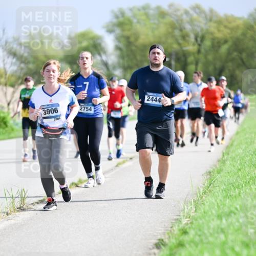 07.04.2024 - 43. Internationalen Wilhelmsburger Insellauf Dr. Thomas Lammeyer http://msf.ph/oto/6050405 07.04.2024 11:18:01 Laufen 3906, 3906, 2754, 2444 meine-sportfotos.de