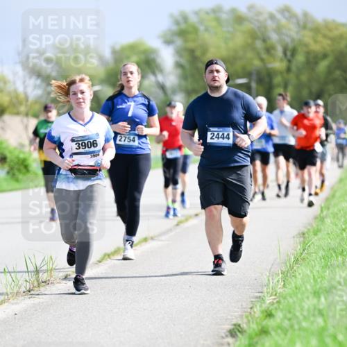 07.04.2024 - 43. Internationalen Wilhelmsburger Insellauf Dr. Thomas Lammeyer http://msf.ph/oto/6050407 07.04.2024 11:18:01 Laufen 3906, 3906, 2754, 2444 meine-sportfotos.de