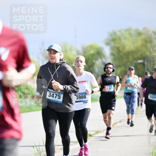 07.04.2024 - 43. Internationalen Wilhelmsburger Insellauf Dr. Thomas Lammeyer http://msf.ph/oto/6050653 07.04.2024 11:18:51 Laufen 3475, 3988, 3988, 8961, 3985 meine-sportfotos.de