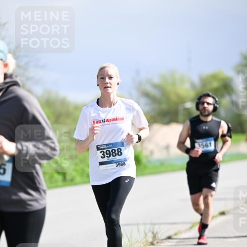 07.04.2024 - 43. Internationalen Wilhelmsburger Insellauf Dr. Thomas Lammeyer http://msf.ph/oto/6050662 07.04.2024 11:18:52 Laufen 5, 3988, 3988, 1561 meine-sportfotos.de