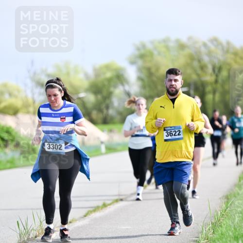 07.04.2024 - 43. Internationalen Wilhelmsburger Insellauf Dr. Thomas Lammeyer http://msf.ph/oto/6050775 07.04.2024 11:19:15 Laufen 3302, 3622 meine-sportfotos.de