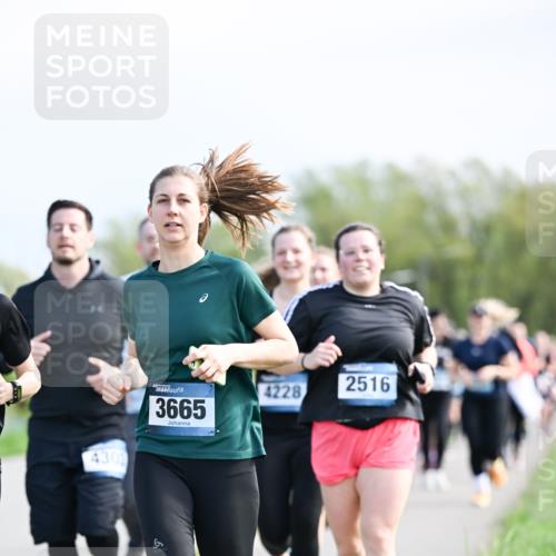 07.04.2024 - 43. Internationalen Wilhelmsburger Insellauf Dr. Thomas Lammeyer http://msf.ph/oto/6051194 07.04.2024 11:20:50 Laufen 4300, 3665, 2516, 4228 meine-sportfotos.de