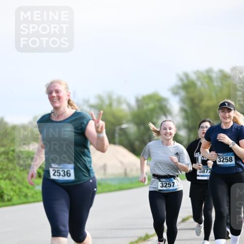 07.04.2024 - 43. Internationalen Wilhelmsburger Insellauf Dr. Thomas Lammeyer http://msf.ph/oto/6051213 07.04.2024 11:20:54 Laufen 2536, 3257, 3872, 3258 meine-sportfotos.de