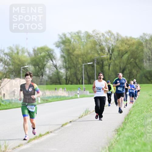07.04.2024 - 43. Internationalen Wilhelmsburger Insellauf Dr. Thomas Lammeyer http://msf.ph/oto/6051412 07.04.2024 11:21:39 Laufen 2202, 3596, 2476 meine-sportfotos.de