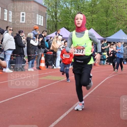14.04.2024 - Hammer Lauf Strokosch-Dieckow http://msf.ph/oto/6065220 14.04.2024 09:50:29 Ziel 197, 736, 787, 840, 884, 933, 952, 966, 998, 1040, 1126, 1191, 1251, 1294, 1339, 1377, 197, 736, 787, 840, 884, 933, 952, 966, 998, 1040, 1126, 1191, 1251, 1294, 1339, 1377 meine-sportfotos.de
