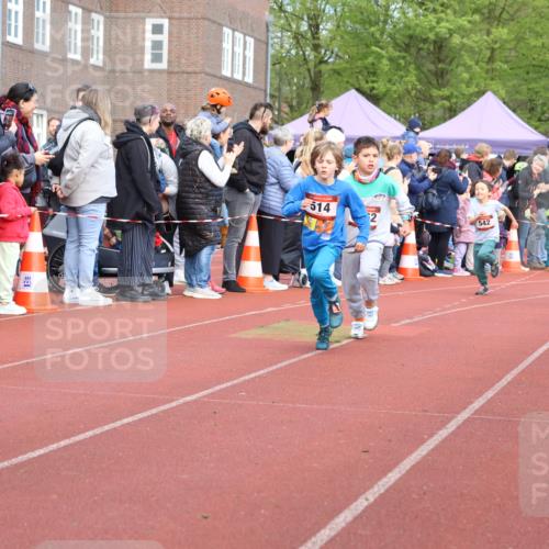 14.04.2024 - Hammer Lauf Strokosch-Dieckow http://msf.ph/oto/6065259 14.04.2024 09:50:45 Ziel 498, 664, 749, 760, 824, 885, 936, 957, 969, 970, 993, 1006, 1017, 1039, 1057, 1058, 1143, 1180, 1203, 1277, 1285, 1324, 498, 664, 749, 760, 824, 885, 936, 957, 969, 970, 993, 1006, 1017, 1039, 1057, 1058, 1143, 1180, 1203, 1277, 1285, 1324 meine-sportfotos.de