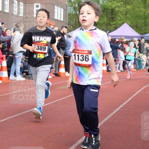 14.04.2024 - Hammer Lauf Strokosch-Dieckow http://msf.ph/oto/6065321 14.04.2024 09:51:23 Ziel 213, 393, 431, 558, 565, 751, 752, 968, 1004, 1042, 1107, 1202, 1284, 1296, 1297, 1389, 213, 393, 431, 558, 565, 751, 752, 968, 1004, 1042, 1107, 1202, 1284, 1296, 1297, 1389 meine-sportfotos.de