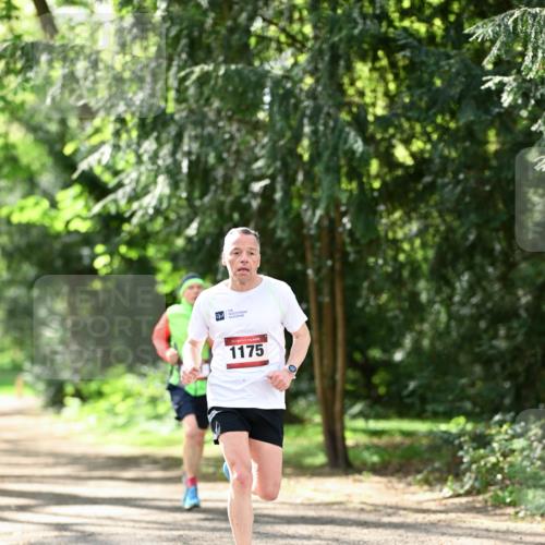 14.04.2024 - Hammer Lauf Dr. Thomas Lammeyer http://msf.ph/oto/6065503 14.04.2024 10:52:32 Laufen 1175 meine-sportfotos.de