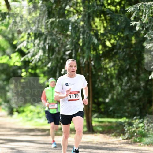 14.04.2024 - Hammer Lauf Dr. Thomas Lammeyer http://msf.ph/oto/6065504 14.04.2024 10:52:32 Laufen 261, 1175 meine-sportfotos.de