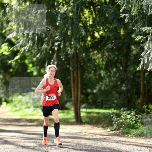 14.04.2024 - Hammer Lauf Dr. Thomas Lammeyer http://msf.ph/oto/6065553 14.04.2024 10:53:00 Laufen 255 meine-sportfotos.de