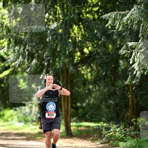 14.04.2024 - Hammer Lauf Dr. Thomas Lammeyer http://msf.ph/oto/6065777 14.04.2024 10:54:38 Laufen 831 meine-sportfotos.de