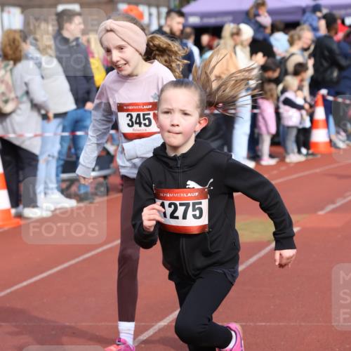 14.04.2024 - Hammer Lauf Strokosch-Dieckow http://msf.ph/oto/6066304 14.04.2024 09:53:55 Ziel 1029, 1037, 1275, 1300, 1029, 1037, 1275, 1300 meine-sportfotos.de