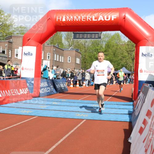14.04.2024 - Hammer Lauf Strokosch-Dieckow http://msf.ph/oto/6066954 14.04.2024 10:54:18 Ziel 291, 663, 1175, 291, 663, 1175 meine-sportfotos.de