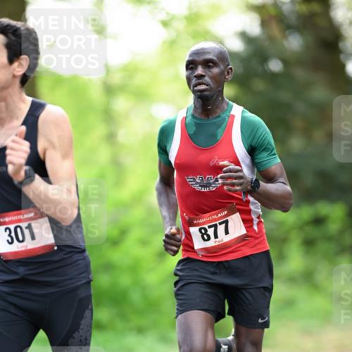 14.04.2024 - Hammer Lauf Dr. Thomas Lammeyer http://msf.ph/oto/6067232 14.04.2024 11:09:58 Laufen 301, 877 meine-sportfotos.de
