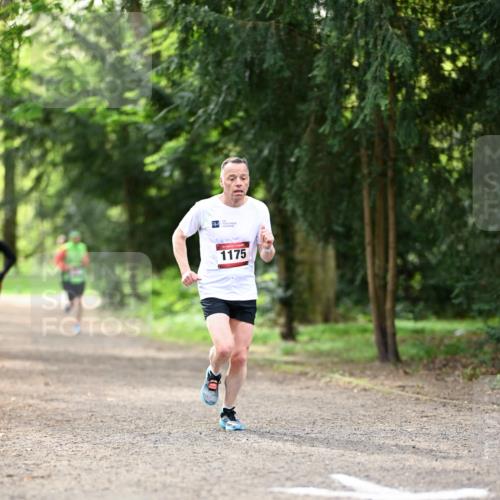 14.04.2024 - Hammer Lauf Dr. Thomas Lammeyer http://msf.ph/oto/6067279 14.04.2024 11:13:09 Laufen 1175 meine-sportfotos.de