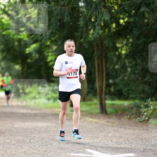 14.04.2024 - Hammer Lauf Dr. Thomas Lammeyer http://msf.ph/oto/6067283 14.04.2024 11:13:09 Laufen 175 meine-sportfotos.de