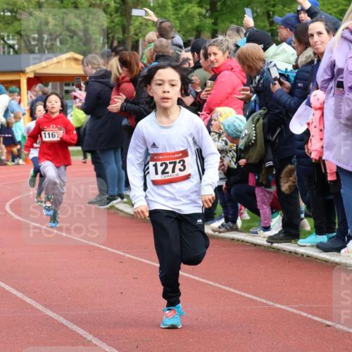 14.04.2024 - Hammer Lauf Strokosch-Dieckow http://msf.ph/oto/6067411 14.04.2024 09:49:46 Ziel 865, 947, 951, 964, 1147 meine-sportfotos.de