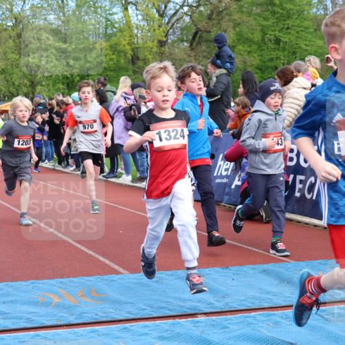 14.04.2024 - Hammer Lauf Strokosch-Dieckow http://msf.ph/oto/6067964 14.04.2024 09:50:38 Ziel 749, 786, 855, 933, 936, 942, 974, 1007, 1143, 1259, 1294, 1324, 1377 meine-sportfotos.de