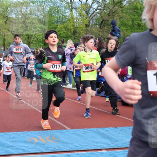 14.04.2024 - Hammer Lauf Strokosch-Dieckow http://msf.ph/oto/6068002 14.04.2024 09:50:40 Ziel 749, 786, 855, 936, 942, 969, 970, 974, 1007, 1017, 1143, 1203, 1259, 1285, 1294, 1324, 1377 meine-sportfotos.de