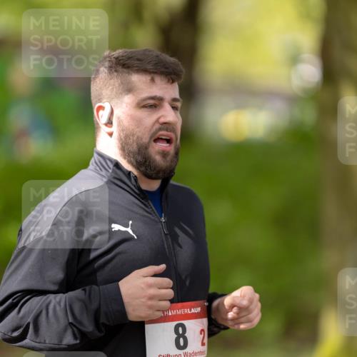 14.04.2024 - Hammer Lauf Michael Strokosch http://msf.ph/oto/6068452 14.04.2024 11:16:44 Laufen 82 meine-sportfotos.de