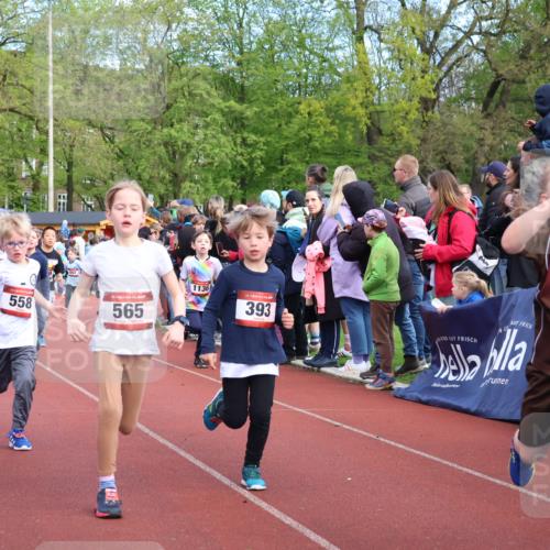 14.04.2024 - Hammer Lauf Strokosch-Dieckow http://msf.ph/oto/6068678 14.04.2024 09:51:22 Ziel 393, 431, 565, 639, 689, 751, 752, 956, 986, 1042, 1107, 1202, 1284, 1297 meine-sportfotos.de