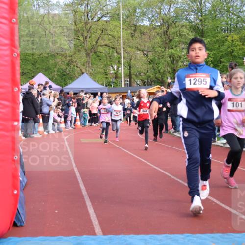14.04.2024 - Hammer Lauf Strokosch-Dieckow http://msf.ph/oto/6069259 14.04.2024 09:51:53 Ziel 450, 959, 965, 982, 1270, 1402, 1404 meine-sportfotos.de