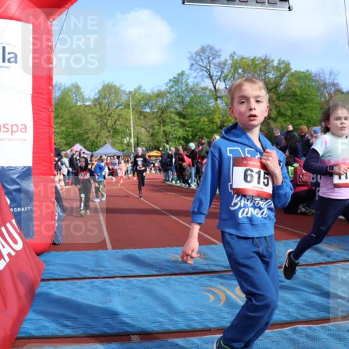 14.04.2024 - Hammer Lauf Strokosch-Dieckow http://msf.ph/oto/6069911 14.04.2024 09:52:30 Ziel 439, 470, 615, 720, 866, 913, 973, 992, 1141, 1245, 1291 meine-sportfotos.de