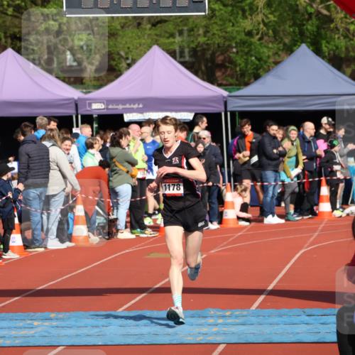 14.04.2024 - Hammer Lauf Strokosch-Dieckow http://msf.ph/oto/6071343 14.04.2024 10:54:43 Ziel 1178 meine-sportfotos.de