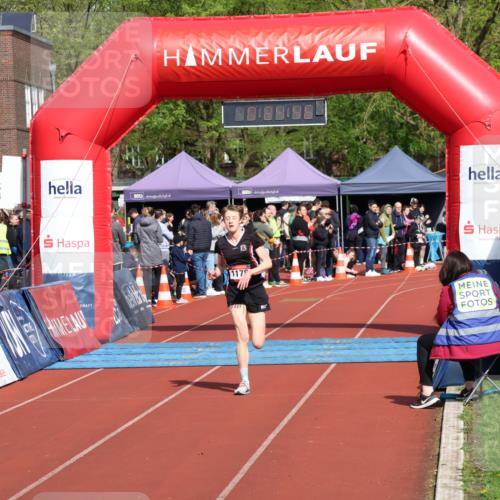 14.04.2024 - Hammer Lauf Strokosch-Dieckow http://msf.ph/oto/6071353 14.04.2024 10:54:45 Ziel 1178 meine-sportfotos.de