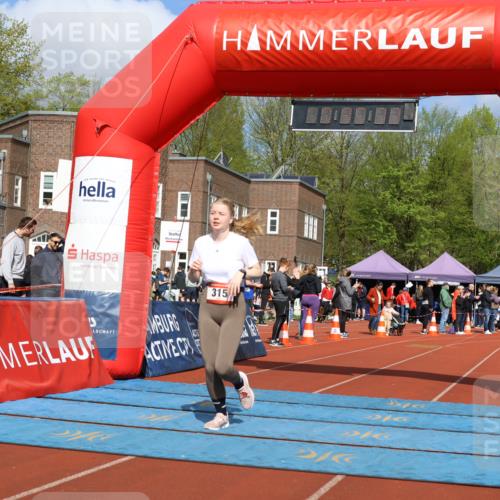 14.04.2024 - Hammer Lauf Strokosch-Dieckow http://msf.ph/oto/6071556 14.04.2024 11:05:30 Ziel 171, 315, 1385, 1391, 171, 315, 1385, 1391 meine-sportfotos.de