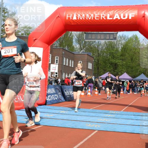 14.04.2024 - Hammer Lauf Strokosch-Dieckow http://msf.ph/oto/6071830 14.04.2024 11:05:59 Ziel 163, 195, 201, 246, 262, 268, 269, 163, 195, 201, 246, 262, 268, 269 meine-sportfotos.de