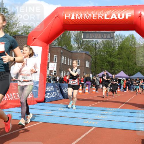 14.04.2024 - Hammer Lauf Strokosch-Dieckow http://msf.ph/oto/6071846 14.04.2024 11:05:59 Ziel 163, 195, 201, 246, 262, 268, 269, 163, 195, 201, 246, 262, 268, 269 meine-sportfotos.de